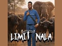 Limit Nala – Ama Buffalo