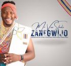 MR Vee SHOLO - USIZI NEZINYEMBEZI (Song)