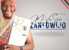 MR Vee SHOLO - USIZI NEZINYEMBEZI (Song)