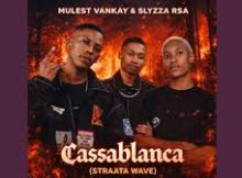 Mulest Vankay & Slyzza Rsa - Cassablanca (straata wave)