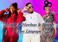 Mvzzle ft Mawhoo & Janesh - Hee Limpopo (Leskandi 2.0)