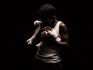 ALBUM: Nandipha808 & Caaza – Who Made Who