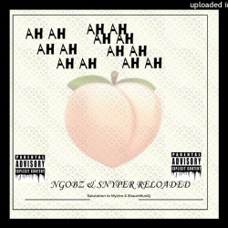 Ngobz & Snyper Reloaded – Ahh Ahh (To Myztro, Xduppy, ShaunMusiQ & Ftears)