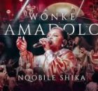 Nqobile Shika - Wonke Amadolo