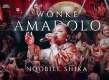 Nqobile Shika - Wonke Amadolo