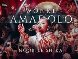 Nqobile Shika - Wonke Amadolo