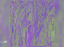 Omagoqa, Sizwe Alakine & K.Keed – Jumanji ft. Jepedoh, Mvelo Makhanya & Ms. Cosmo