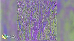 Omagoqa, Sizwe Alakine & K.Keed – Jumanji ft. Jepedoh, Mvelo Makhanya & Ms. Cosmo