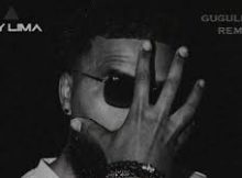 Prince Kaybee ft. Indlovukazi, Supta, Afro Brotherz - Gugulethu (Jay Lima Remix)