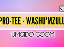 Pro-Tee – Washu’mzulu (Umgido Gqom)