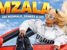 Shakes & Les x Zee Nxumalo - Mzala [Fada Figa Remix]