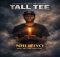 Tall Tee - Nhliziyo (feat. Sky The Vocalist)