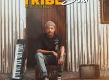 TribeSoul – Sayobabona ft Sticky