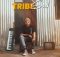 TribeSoul – Sayobabona ft Sticky