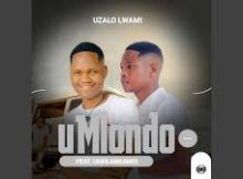 Umlondo incushe yakwamgenge - uZalo Lwami (feat. uMhlanganisi)