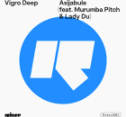 Vigro Deep – Asijabule ft Murumba Pitch & Lady Du
