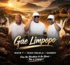 Wave T - Gae Limpopo
