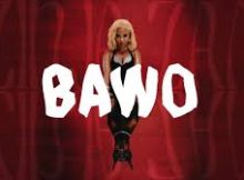 Zee Nxumalo, Dlala Thukzin, Shakes & Les – Bawo ft. Sino Msolo