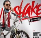 iFani - Shake [Remix]