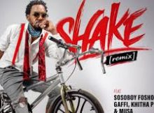 iFani - Shake [Remix]
