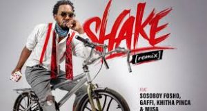 iFani - Shake [Remix]