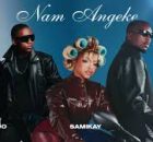 Black-tee - Nam Angeke (Remake)