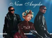 Black-tee - Nam Angeke (Remake)