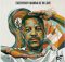 Calvin Fallo - Everybody Want To Be In Love (Song lyrics)