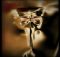 Claptone feat. Poppy Baskcomb - Wanderlust (Club Extended Mix)