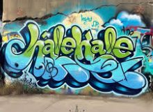 DJ DADAMAN feat. Nichole rsa - Hale hale Wave Bacardi