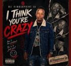 Dj Fingerprint SA - I Think You're Crazy