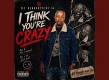 Dj Fingerprint SA - I Think You're Crazy