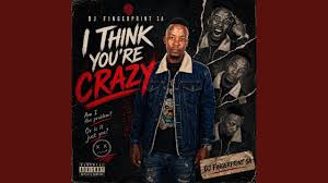 Dj Fingerprint SA - I Think You're Crazy
