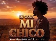 Dj Goja - Mi Chico