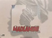 Dooushii - MaDlamini (feat. Mellow & Sleazy)