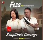 Feza - Sengithole Omunye Remix ft Chulumanco