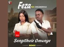 Feza - Sengithole Omunye Remix ft Chulumanco