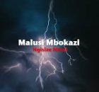 Malusi Mbokazi - Ngisize Nkosi Song