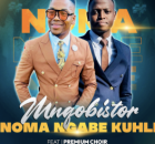 Mnqobistor – Noma Ngabe Kuhle ft. mthokozisi mdluli