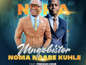 Mnqobistor – Noma Ngabe Kuhle ft. mthokozisi mdluli
