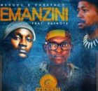 Mshudu, Darkface & Kaynote – Emanzini