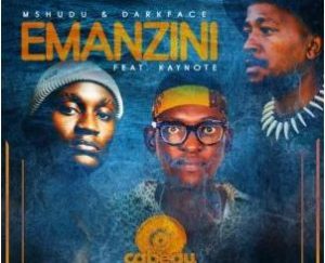 Mshudu, Darkface & Kaynote – Emanzini