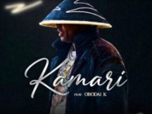PureVibe ft OBODOAI K – Kamari