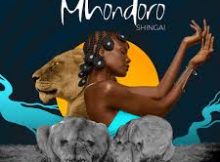 SHINGAI - Mhondoro