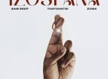 Sam Deep, Thatohatsi & Zuma ft Marvin – Izospana