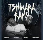 Tshwara Kamo - Poobington