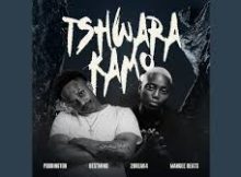 Tshwara Kamo - Poobington