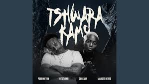 Tshwara Kamo - Poobington