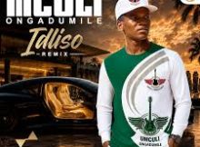 UMculi Ongadumile - Idliso (Remix)
