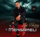 UMengameli – NgiHappy